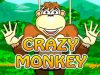 Crazy Monkey