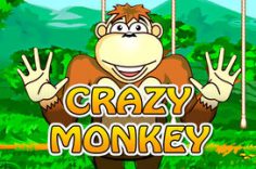 Играть в Crazy Monkey