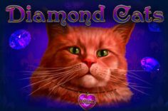 Играть в Diamond Cats