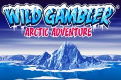 Играть в Wild Adventure