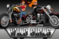 Играть в Wild Girls